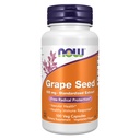 Suppléments, Graines de raisin 100 mg - Extrait normalisé, extrait hautement concentré avec un minimum de 90% de polyphénols, avec vitamine C, 100 capsules de légumes