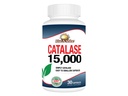 Rise-N-Shine Catalase Supplement 15.000 - Leistungsstarkes Antioxidans Enzym für die Haargesundheit Unterstützung- Haarergänzungsmittel für starke Haarunterstützung - 30 Kapseln