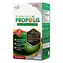 LABO Nutrition Propoli Verde Brasiliana Ultimate - Contiene >7% o 28mg per Serve Artepillina C & >5% Flavonoidi, per Supporto Immune & Cervello, Naturale, Alta Concentrato & Premium, 60 capsule di Veg