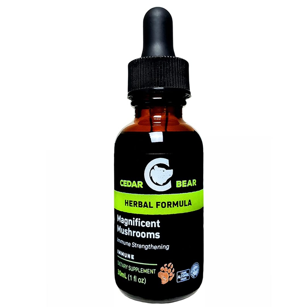 Cedar Bear Magnifique champignons un supplément à base de plantes liquides qui construit le système immunitaire, protège, renforce et équilibre la santé globale 1 Fl Oz