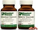 Bundle da masticare per bambini di processo standard - Kit di supplemento Congaplex & Catalyn - Integratori di supporto per funzioni immuni e cellulari - Integratori nutrizionali per la salute generale