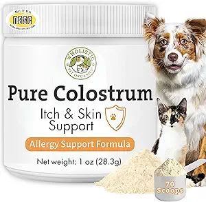 Alternative à l'allergie aux chiens
