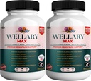 Wellary Max Menopause Support Supplement, 40 Billion CFU Probiotic Blend, 90 Kapseln (2)