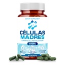 Stammzellergänzungen 500mg (60 Cap) Natürliche Anti-Aging & Langlebigkeit Unterstützung mit Spirulina & Chlorella, Boost Cellular Renewal, Wiederherstellung jugendlicher Energie, Reduce Joint Soreness – Celulas Madre