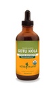 Herb Pharm certifié Bio Gotu Kola Extrait liquide pour le système musculo-squelettique - 4 Ounce