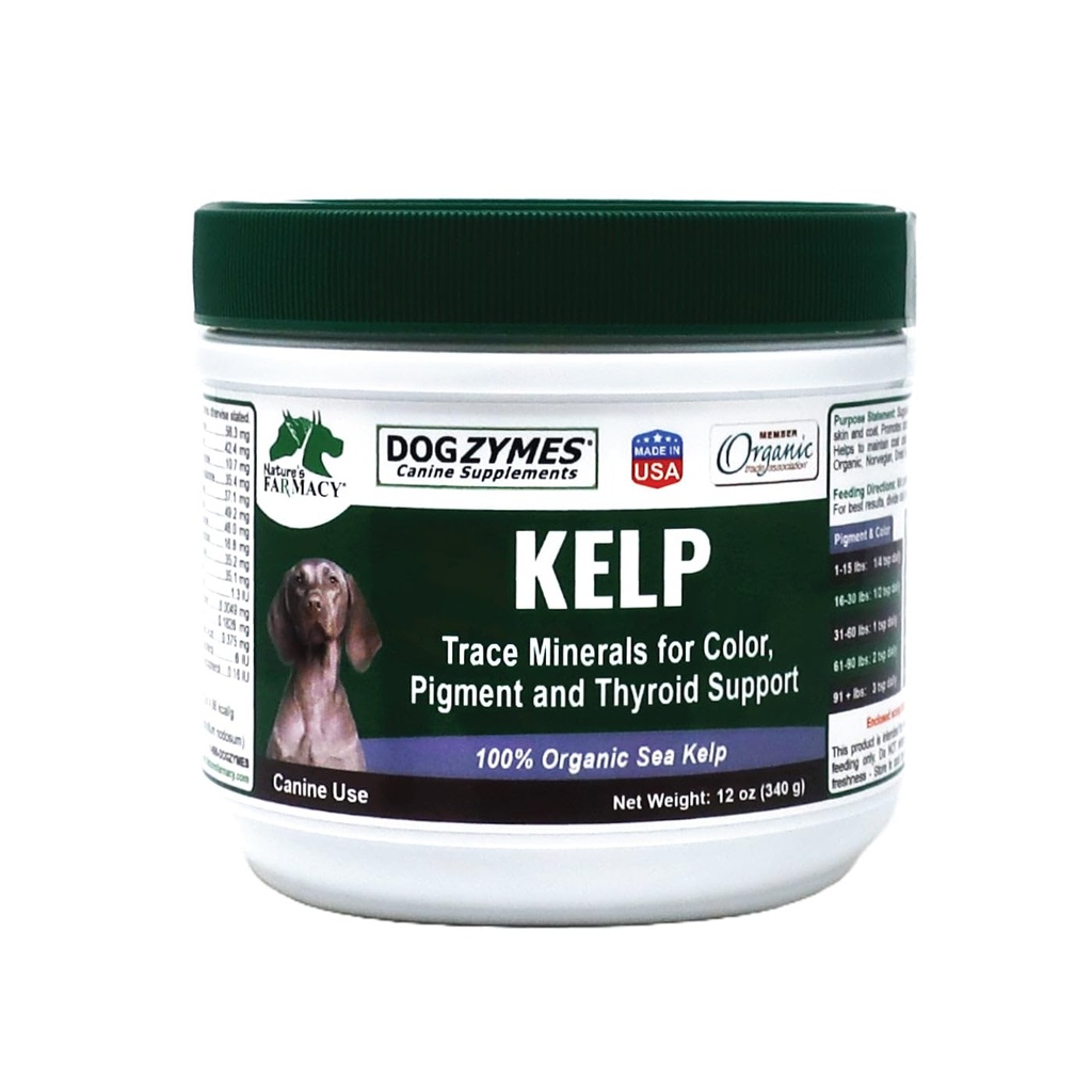 Dogzymes Organic Norwegian Kelp pour animaux de compagnie, une source nutritionnelle précieuse riche en iode pour soutenir la fonction Gland, en particulier le thyroid (12 once)