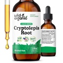 Cryptolepis sauvage et biologique Teinture de Sanguinolenta - Supplément de soutien de détox et immunitaire - 1 mois d'approvisionnement - Cryptolepis extrait gouttes liquides - végétalien, sucre et sans alcool - 2 fl oz
