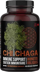Chaga Capsules de champignons Supplément pour le soutien de santé immunitaire - 120 Capsules végétariennes