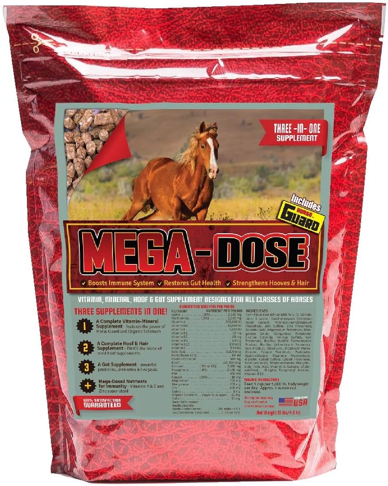 Mega Dose 10 lb, Minéral Vitamine Hippique avec un service complet de supplément de garde-chevaux et de garde-boue