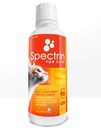 Cat Vitamine - Spectrin 16 OZ - Flüssiges Vitamin & Antioxidans Nahrungsergänzungsmittel für Katzen - 96 Dosen