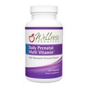 Wellness Ressourcen Daily Prenatal Multi Vitamin - Methyliertes Zink Eisen Bisglycinat Choline & Schlüsselnährstoffe - Natürliche pränatale postnatale postpartum Vitamine für Frauen - 120 Caps