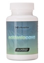 Ecklonia Cava Extract - 99% Purity - 50% Polyphenols - 320mg per Daily Serving, 60 Capsules