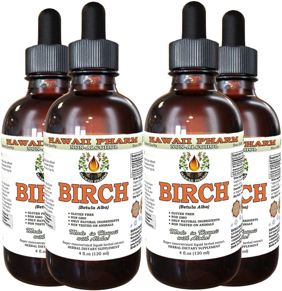 Birke Alkoholfreie Flüssigextrakt, Birke (Betula Alba) Getrocknete Bark Glycerite Hawaii Pharm natürliche Kräuterergänzung 4x4 oz