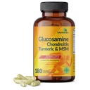 Futurebiotics Glucosamine Chondroitin Turmeric & MSM Advanced Joint Formula, unterstützt gesunde Gelenke & Mobilität - Non-GMO, 180 Kapseln