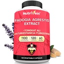 Nutrivein Premium Fadogia Agrestis und Tongkat Ali Supplement mit Turkesterone - 1100 mg - 120 Caps - Synergistische Mischung für Leistung, Stärke und Erholung für Männer & Frauen aller Altersgruppen