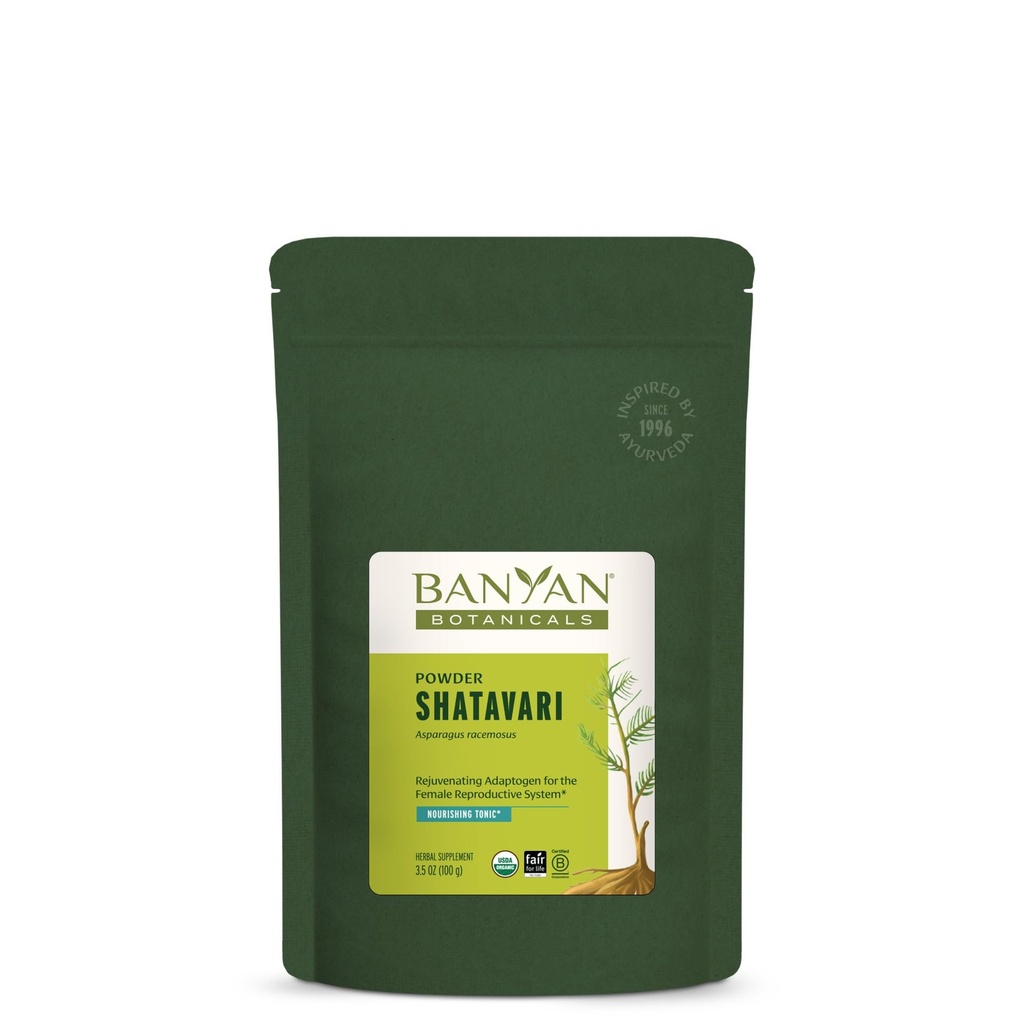 Banyan Botanicals Shatavari Powder – Organic Asparagus Racemosus Root Powder – Rejuvenating Adaptogen Tonic, die ein gesundes Fortpflanzungssystem unterstützt* – 3.5 oz. – Non-GMO Sustainable Sourced Vegan