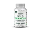 Organics Ocean Wild Sea Moss Capsule - 100% Organic Irish Sea Moss con clorella Organica, Bladderwrack e vitamina D per l'energia, la salute polmonare e il supporto tiroide per le donne e gli uomini - 60 capsule