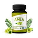 Amla 120 compresse – USDA Organic Indian Gooseberry – Ricco di vitamina C & Supporta la salute immunitaria*