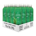 Acqua clorofilla – Clorofilla liquida 12-Pack (16.9oz) | Vitamina A, B12, C, D | Detox Cleanse, Acqua alcalina, Energy Boost | Vitamin Water | Plant-Based | Clean Label Project | Hydration Support
