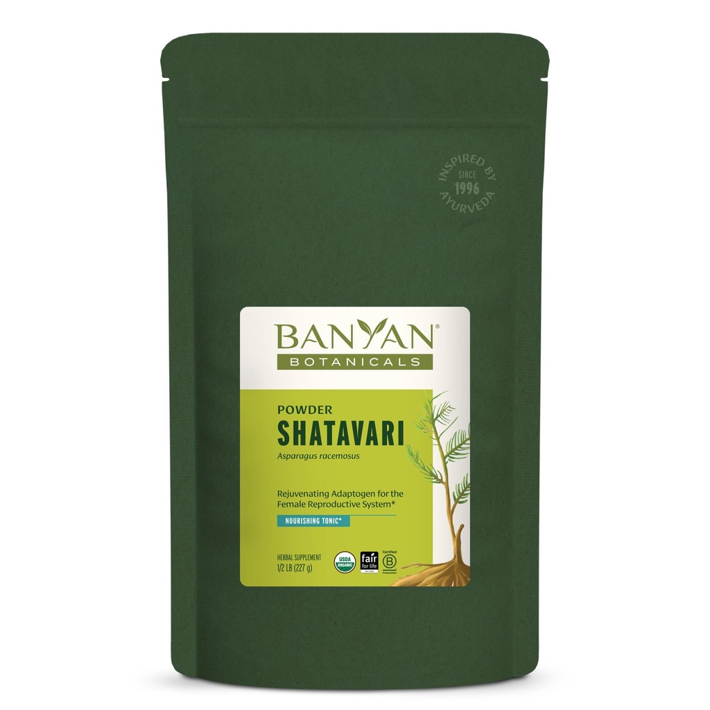 Banyan Botanicals Shatavari Polvere – Polvere di radice di asparagi organici – Tonico di adaptogeno ringiovanente che supporta un sistema riproduttivo sano* – 1/2 lb. – Non OGM Sostenibilmente Sorgente Vegan