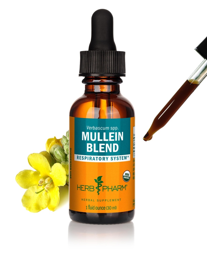 Kräuter Pharm Certified Organic Mullein Blend Flüssiger Extrakt für Atemsystemunterstützung - 1 Unze