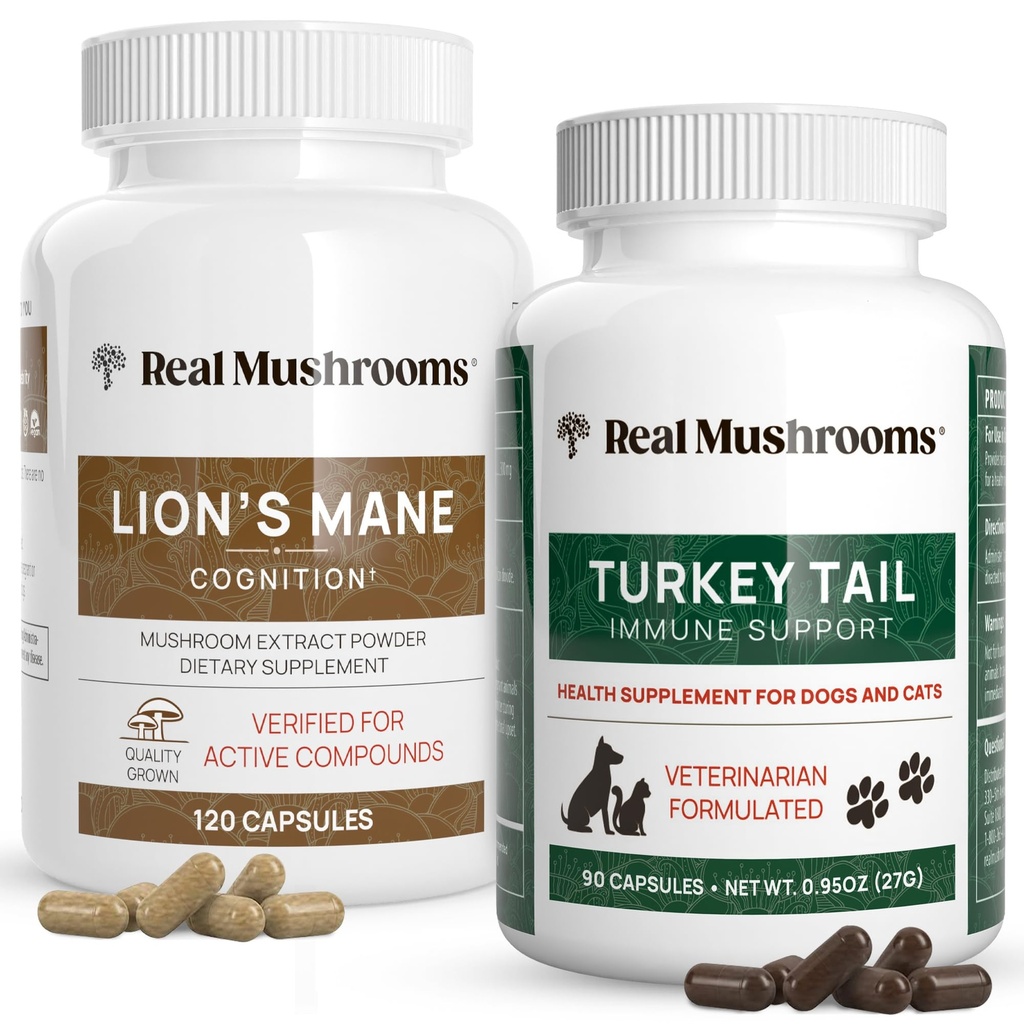 Véritables champignons Lions Manille pour les humains (120ct) et la dinde Queue pour les animaux (90ct) - Ensemble pour la cognition et l'immunité - Végétalien, Non-OGM, Sans grains, Sans gluten Capsules d'extrait de champignons