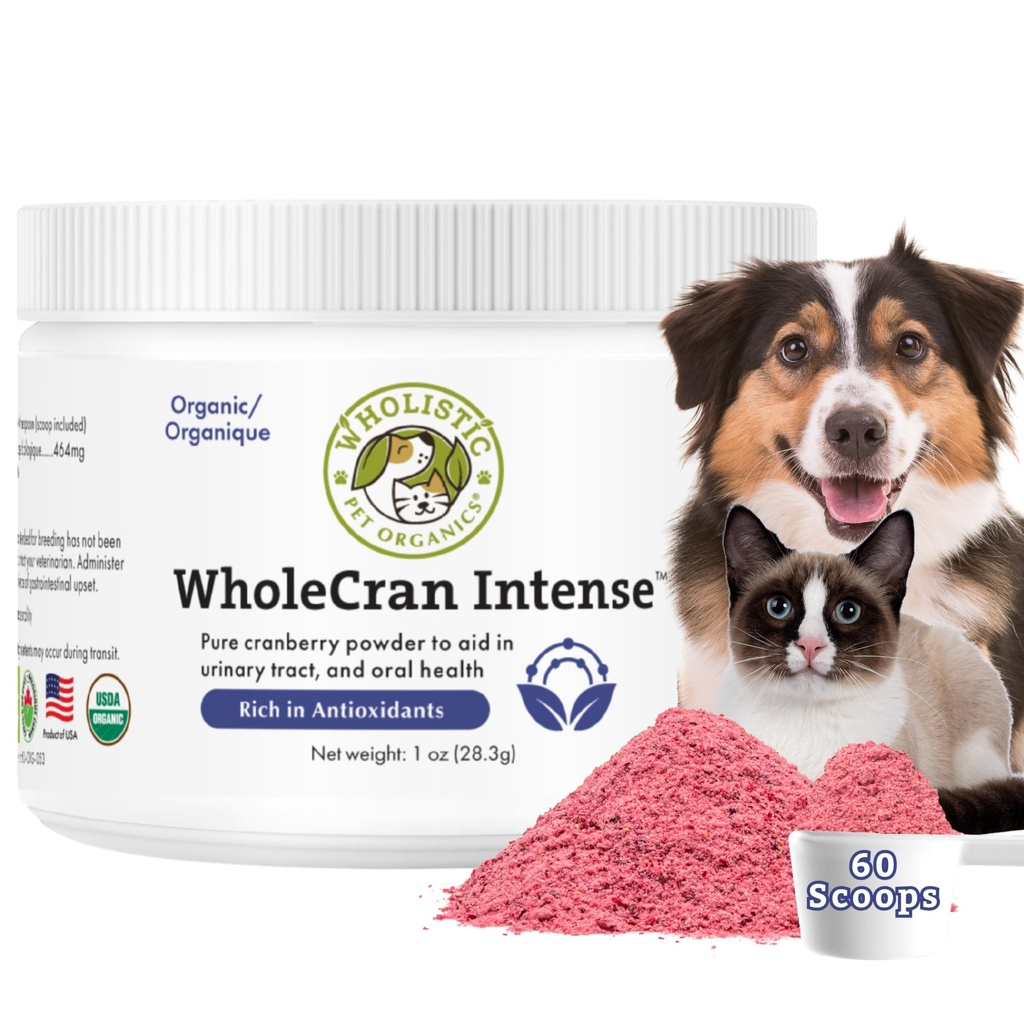 Wholistic Pet Organics WholeCran Intense: Poudre de canneberge biologique pour chiens Urinary Tract Support Rein Support pour chiens UTI Traitement Vitamine C et antioxydants Produit d'incontinence pour chiens