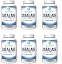 Best Earth Naturals Six Pack of Catalase 10.000 Formula Enzyme Supplemento con Saw Palmetto, Biotin, Fo-Ti, PABA - Integratori per capelli forti - 360 Capsule (180-day Supply)
