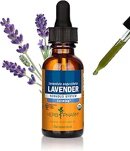 Extrait liquide de lavande biologique certifié Herb Pharm pour un système nerveux calmant, 1 Fl Oz