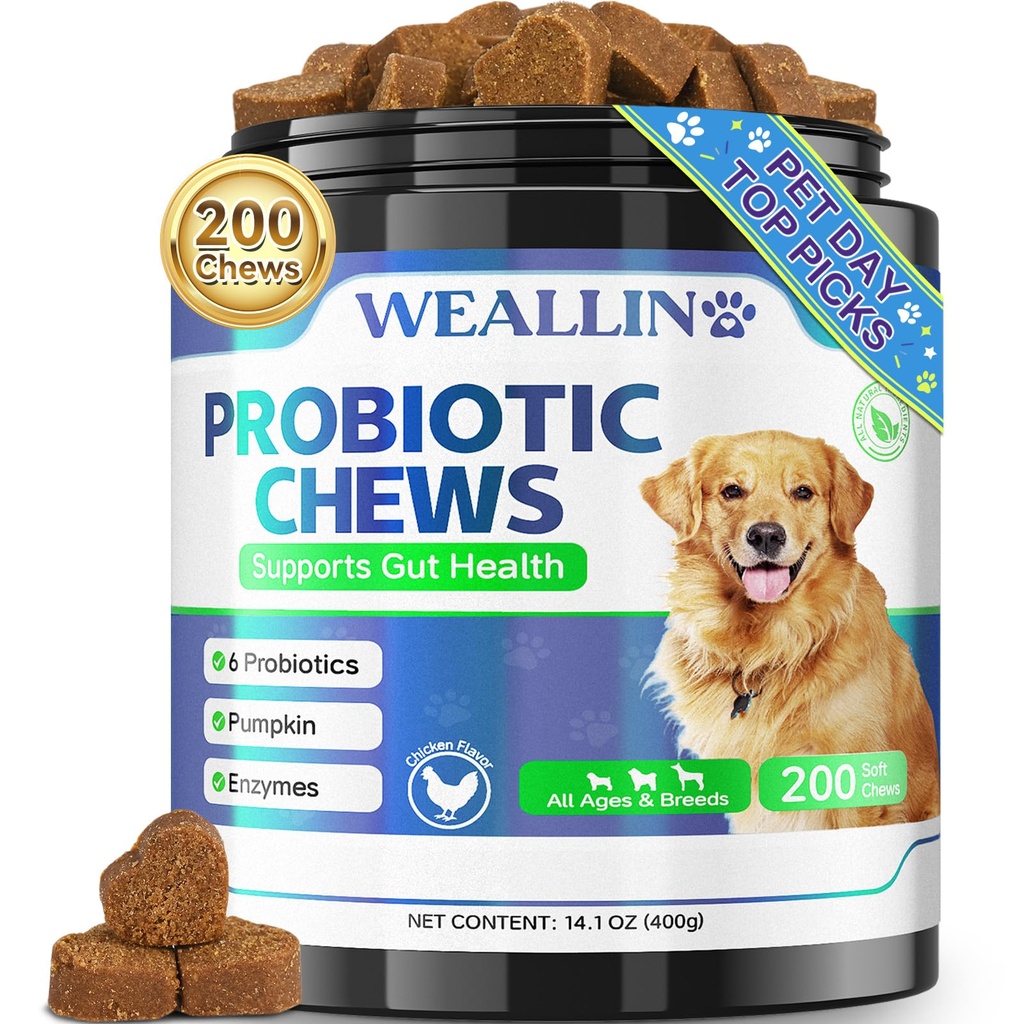 200 PCS Probiotiques pour chiens - Chien Probiotique Chews pour Gut Health, Digestive Support & Itchy Skin Relief Traitement des gaz de diarrhée - Probiotiques, enzymes digestives, prébiotiques, citrouille