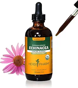Herb Pharm Certified Organic Echinacea Root Liquid Extract for Immune System Support, Alcohol-Free Glycerite, 4 Ounce