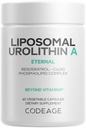 Codeage Liposomal Urolithin Eine Ergänzung 500mg pro Servieren + Resveratrol, Betaine, CoQ10, Ellagitannins - Eine neue Grenze jenseits NADH, NMN, NAD, NR und PQ Vitamine - Bioverfügbar - 60 Kapseln