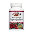 CranRich di Fattori Naturali, Concentrato di Mirtillo Super Forza, Integratore Antiossidante per Supporto Tratto urinario, Non OGM, 90 Capsule