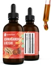 360 Nutrition Ashwagandha & Reishi Des gouttes supplémentaires pour le soulagement du stress, l'endurance et la longévité, et le soutien énergétique - Vegan Non-OGM Adaptogène - 4 fl oz, 60 portions