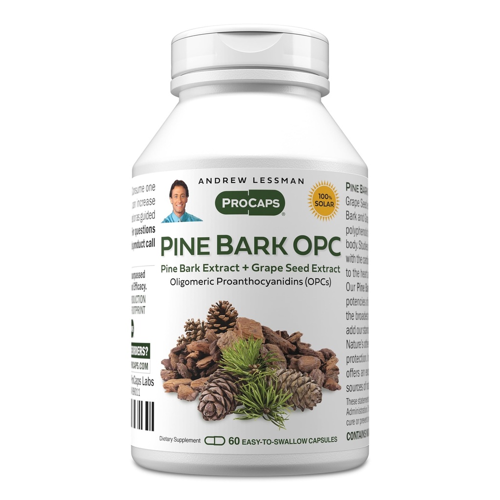 ANDREW LESSMAN Pine Bark OPC Anti-Oxidant Extrakte 60 Kapseln - Unterstützt Gewebe und Organsysteme, um schädigende Free-Radicals, Proanthocyanidine, Leistungsstarkes Antioxidans, keine Additive zu neutralisieren