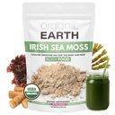Terre biologique Irish Sea Moss Powder 8oz - Wildcrafted Sea Moss Organic avec Bladderwrack & Burdock Root Powder - Thyroïde, support de digestion et peau saine - USDA certifié biologique