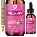 Gouttes liquides de mousse de mer - Huile de graines noires organiques Gel de mousse de mer d'Irlande avec racine de lard, bladderwrack, Elderberry, vitamine C, D3, 6X Gel plus fort pour la peau digestive, santé des cheveux - Vegan