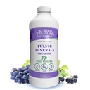 Buried Treasure Fulvic Minerals Uva aromaed – Minerali Colloidali dall'acido Humic Fulvic, Elettroliti dai minerali Trace per il recupero e il supporto benessere. Aggiungi all'acqua – 32 Serve