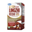 LABO Nutrition Bioactive Organic Lingzhi Reishi Ultra 7 Pilzextrakt Ergänzung Reishi Cordyceps Maitake Türkei Tail Agaricus blazei Murill Shiitake für Immununterstützung, Vitalität, USDA Organic