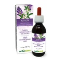 Naturalma Alfalfa o Lucerna (Medicago Sativa) erba con fiori Alcol-Free Tincture - Ricco di clorofilla naturale - 4 fl oz Estratto liquido in gocce - Supplemento di erbe - Vegan