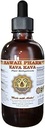 HawaiiPharm Kava Kava Liquid Extract, Kava Kava (Piper Methysticum) Tinkturergänzung 4 oz