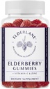Elderlane Elderberry Gummies for Adults and Kids - Immune Support - Non-GMO, Vegan, Gluten-Free, Gelatin-Free - 60ct, 100mg