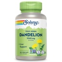 SOLARAY Supplément racine de dandelion - Soutien du rein et du foie en bonne santé - 1 040 mg par portion - Vegan, laboratoire vérifié, garantie de 60 jours - 90 portions, 180 VegCaps