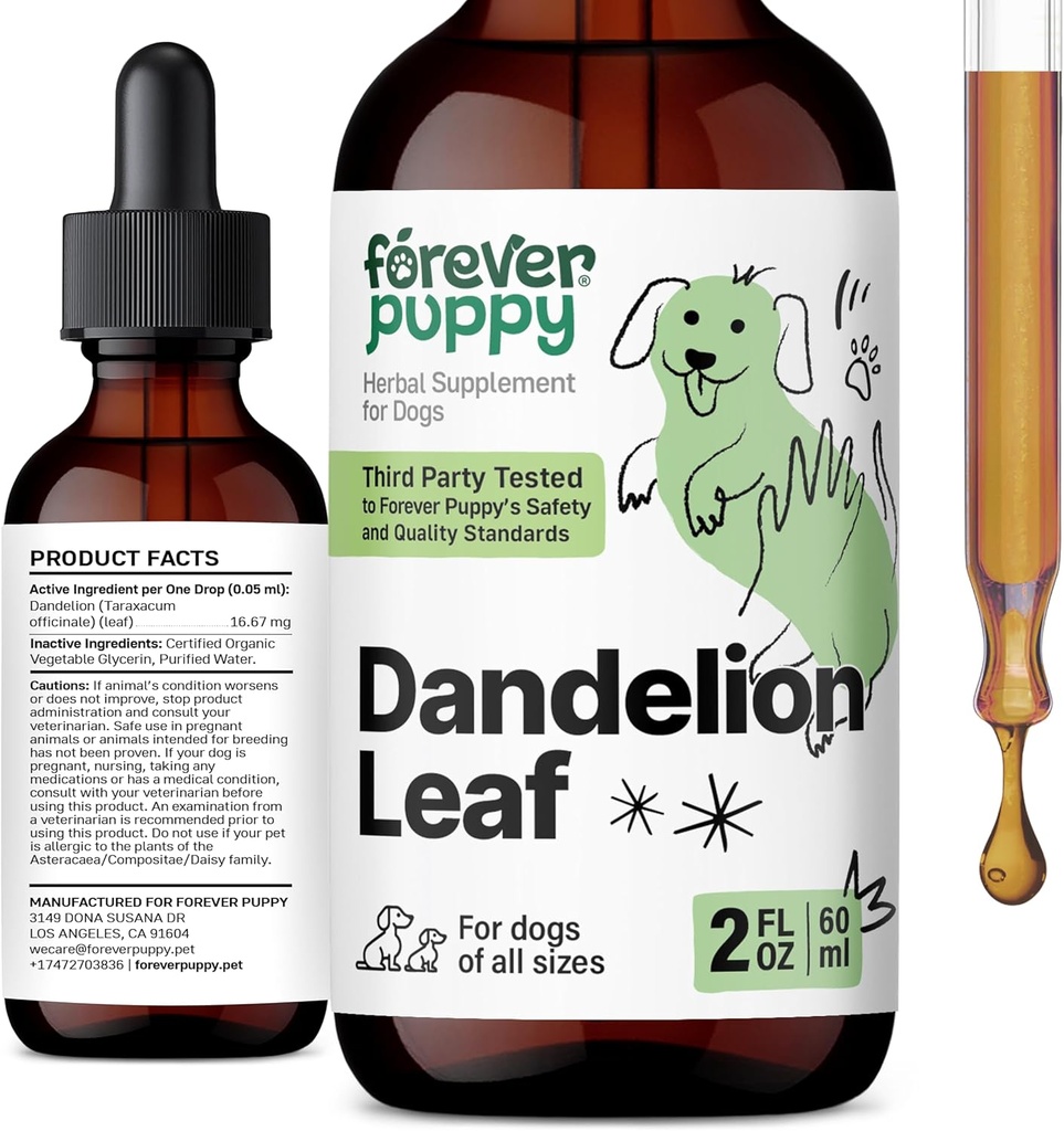 Des gouttes de dandelion pour les chiens - Supplément liquide pour la santé rénale pour les chiens grands, moyens et petits - Nettoyer les gouttes de détox avec les feuilles de dandelion Teinture - 2 oz