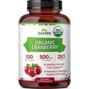Zazzee USDA Extrait de canneberge biologique 25:1, 500 mg par capsule, 100 capsules végétaliennes, plus de 3 mois d'approvisionnement, normalisé, extrait concentré 25X, 100% végétarien, certifié biologique, non-OGM tout naturel