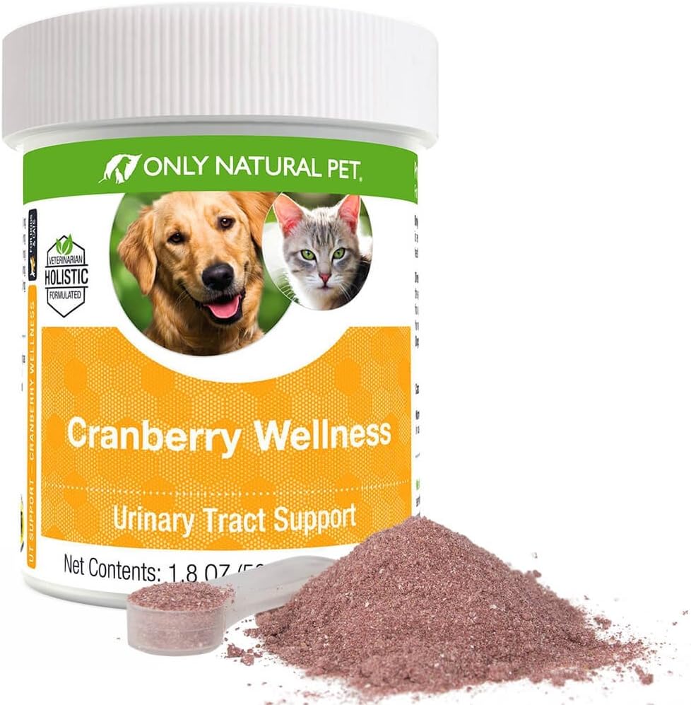 Uniquement la poudre d'antioxydant pour chiens et chats pour le bien-être des canneberges - Supplément de poudre de baies nutritives pour la santé urinaire avec vitamine C - 110 portions