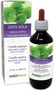 Naturalma Gotu kola (Centella asiatica) herbe Teinture sans alcool - 6,76 fl oz Extrait liquide dans les gouttes - supplément à base de plantes - végétalien