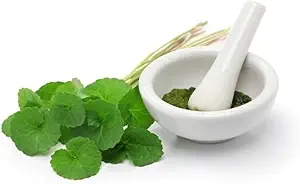 (Pack of 2) Poudre de Centella Asiatica biologique (50g)