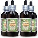 Carline Thistle (Carlina acaulis) Glycerit, Getrocknete Wurzeln Alkoholfreier Flüssigextrakt (Markenname: HerbalTerra, Proudly Made in USA) 4x4 fl.oz (4x120 ml)
