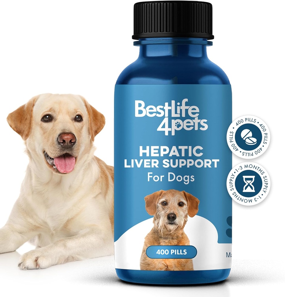 Hepatic Liver Unterstützung für Hunde, Auflösbare homöopathische Digestive Canine Ergänzung für Leberentgiftung und Nährstoffaufnahme, 100% alle natürlichen, leicht zu geben, frei von Chemikalien oder Additiven, 400 Pillen